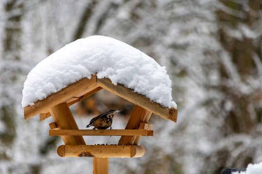 V&ouml;gel im Schnee