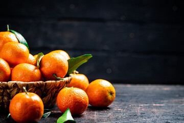 Fresh tangerines with leaves in a basket. 