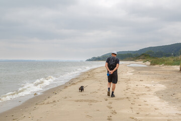 Promeneur et son chien sur le plage de Pennedepie, Calvados, Normandie, France en été