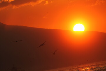 sunset over the sea