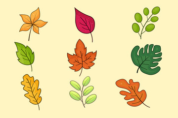 Set of Colorful Leaves Illustration Design