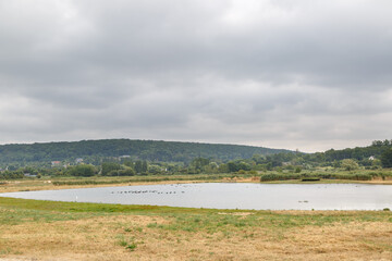 Réserve naturelle nationale du Marais Vernier, Eure, Normandie, France