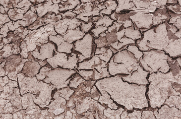 Cracked Mud Background Texture