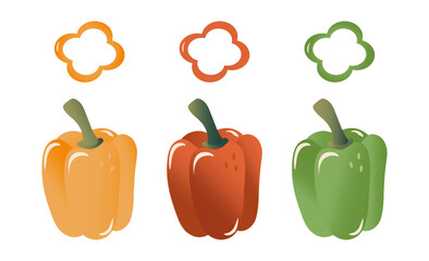 Bell pepper. food illustrations isolated on white background