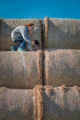 Young beautiful girl with a cat on straw bales.