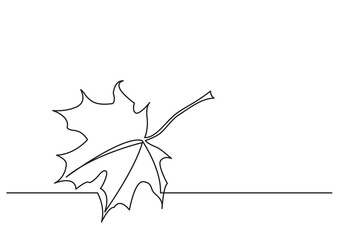 continuous line drawing vector illustration with FULLY EDITABLE STROKE of maple leaf