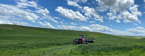 Red, harvesting tractor sitting idle in a lush green wheat field with beautiful puffy white clouds overhead in Washington State's Palouse region. - Powered by Adobe