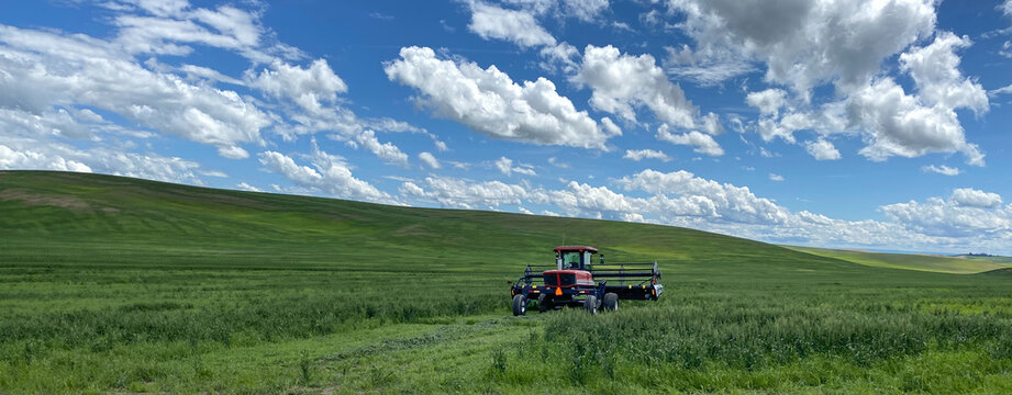 Red, Harvesting Tractor Sitting Idle In A Lush Green Wheat Field With Beautiful Puffy White Clouds Overhead In Washington State's Palouse Region.