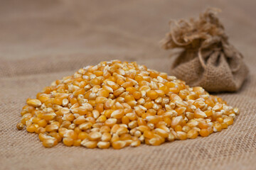 Pile of corn seeds on burlap with bag on back