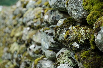 Alte Steinmauer mit Moos weißen Flechten und Pflanzen und unscharfem Hintergrund
