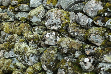 Steinmauer aus runden Steinen übereinander gestapelt mit Moos kleinen Pflanzen und Farn auf altem...