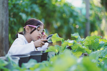 A girl is studying and learning to grow vegetables.Smart Farming, the new innovation of farming, cultivating, growing vegetables.