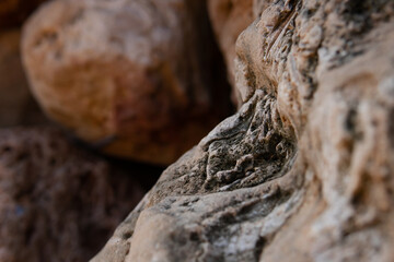 natural eco background. rock texture in the foreground closeup with blurred background
