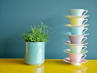 Stack of colorful vintage coffee cups and succulent in pot on yellow table against petrol...
