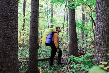 Naklejka na ściany i meble The traveler is standing in the forest among large pines and trees, with a backpack behind his back.