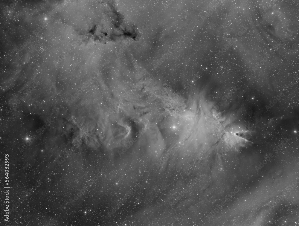 Canvas Prints christmas tree cluster and its nebula, also known as ngc 2264 in the cygnus constellation. taken wit