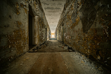 Obraz premium In Brandenburg, history isn't just told, it's hidden underground in old bunkers! Imagine strolling through the woods and stumbling upon a bunker from the Cold War 