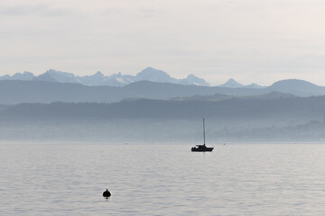 Stille auf dem Zürichsee im Winter, ein Segelboot vor den verschneiten Alpen