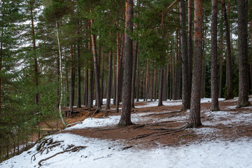 Winter scene at the frozen Dubkalnu quarry in January in Ogre in Latvia