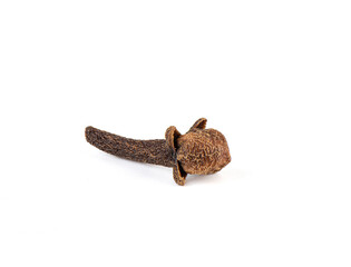 Close-up of a clove, a spice that is the dried, unopened buds of a tropical clove tree.