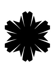 Graphic Snow Flake Icon

