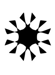 Graphic Snow Flake Icon