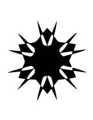 Graphic Snow Flake Icon

