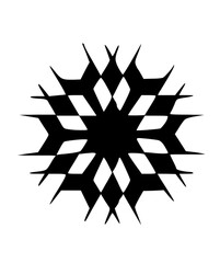 Graphic Snow Flake Icon

