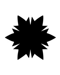 Graphic Snow Flake Icon