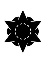 Graphic Snow Flake Icon

