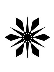 Graphic Snow Flake Icon