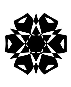 Graphic Snow Flake Icon

