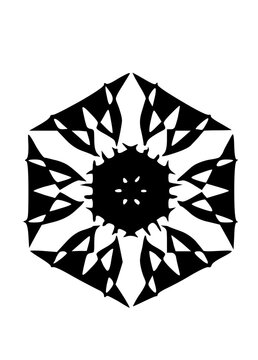 Graphic Snow Flake Icon