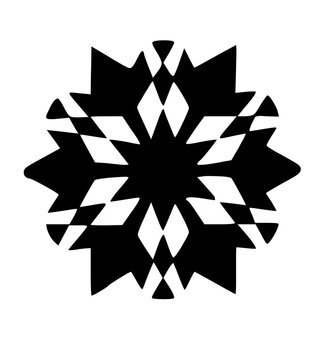 Graphic Snow Flake Icon
