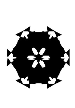 Graphic Snow Flake Icon


