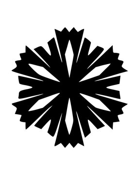 Graphic Snow Flake Icon