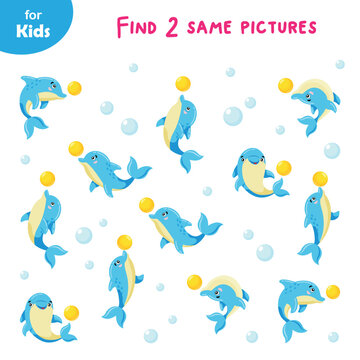 Mini game for kids. find 2 identical dolphin pictures. marine set, education