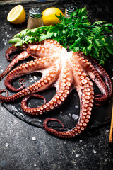 Fototapeta premium Fresh octopus on a stone board. 