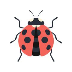 Cute ladybug. Cartoon flat simple illustration. Vector insect icon.