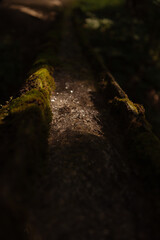 Spring water flows through the gutter