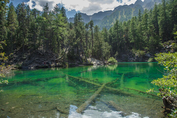 Lac Vert dans la vall&eacute;e &Eacute;troite en &eacute;t&eacute;, N&eacute;vache, Hautes-Alpes, France 
