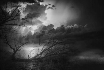 Creepy landscape showing misty dark forest in the stormy autumn night in black and white