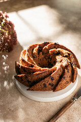 Tasty bundt cake with blueberries or raisins for sunny morning breakfast with hard light and window shadow, text space