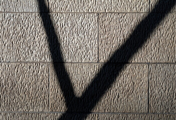 Black Tree Branch Shadow on a Tan Textured Wall.