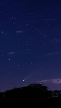 cometa neowise