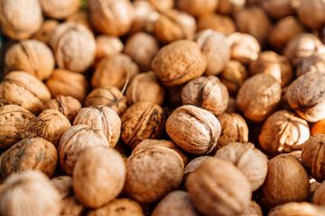 boxes of walnuts. harvesting nuts on the farm. 