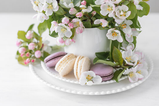 Beautiful composition with delicious French macarons and spring flowers in a white cup. Sweet dessert, early spring white and pink flowers, wedding decor, bride morning. Greeting card Mother's Day