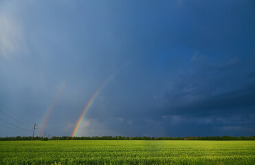 Double bright colorful rainbow in front of gloomy ominous clouds above an agricultural field planted