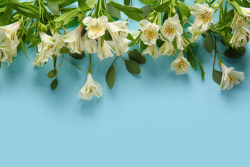 Beautiful white alstroemeria flowers on color background