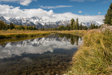 autumn colors, Schwabacher Landing, Grand Teton National Park, Wyoming, USA